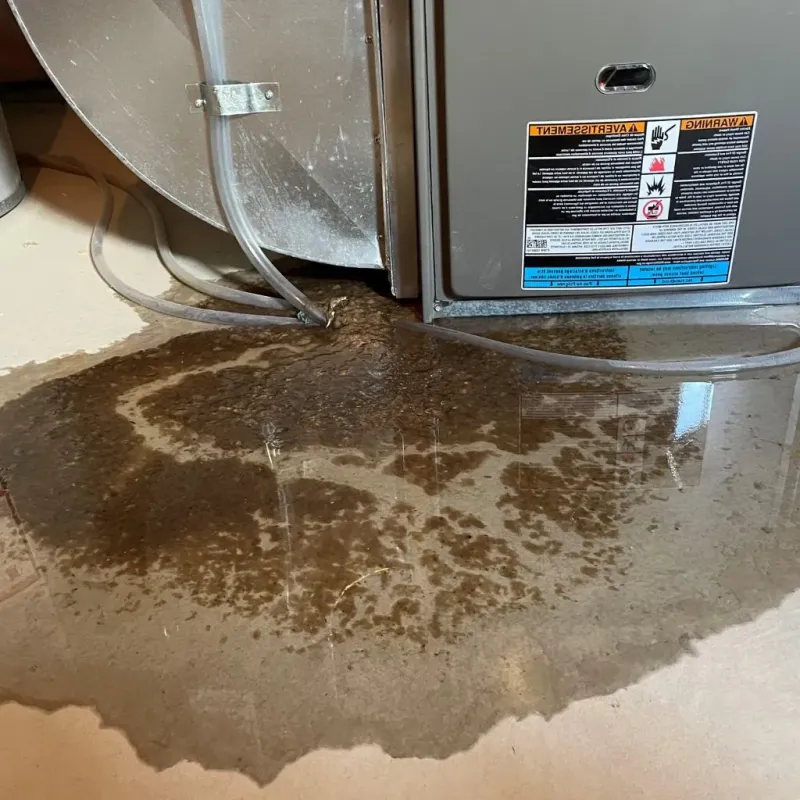 Pipe Burst and Leak Restoration in Bajandas, PR